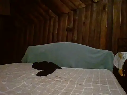 Chat XXX ao vivo de Thiago_model
