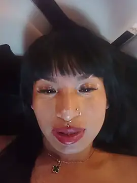 Chat XXX Live MeelFox