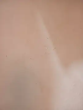 DaisyHarperr's Live XXX Chat