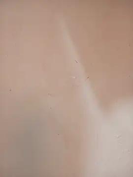 Živý XXX chat DaisyHarperr