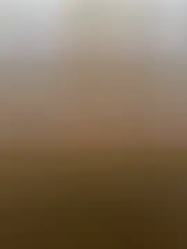 dzbenn Live XXX-chat