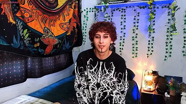 Show webcam de noynxz