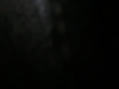 exoticbirds 网络视讯表演