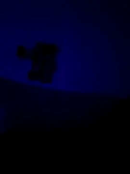 Show Webcam de kingping87