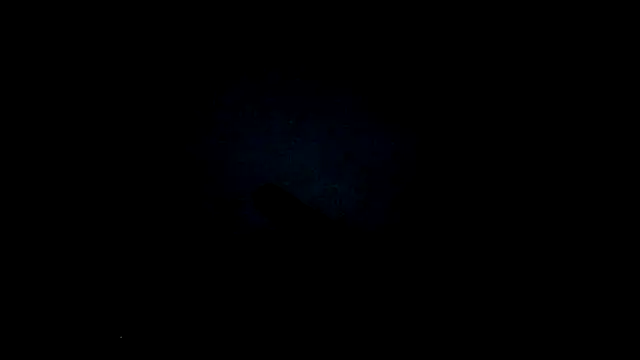 Онлайн чат XXX SexyB214