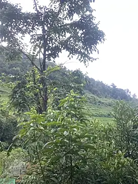 Linda-babyy লাইভ XXX চ্যাট