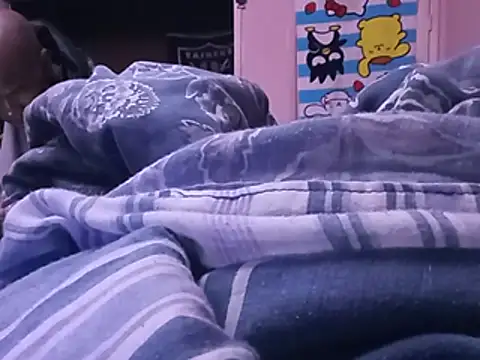 Show webcam de Blkstylion