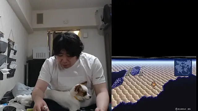 raterate555 现场XXX聊天