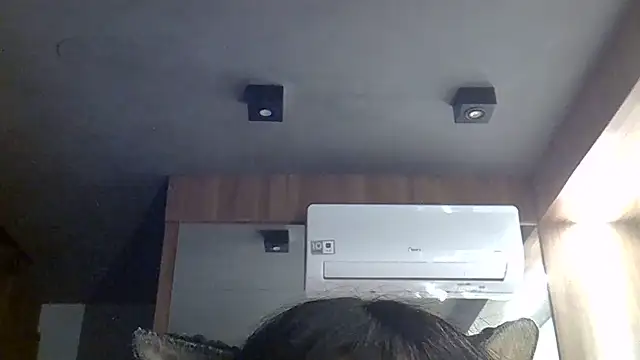 Show de webcam de SkinnyKitten
