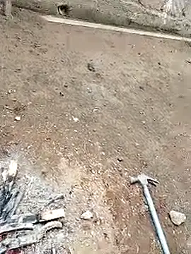 Jakdtのウェブカメラショー