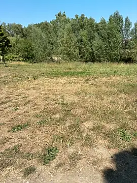 Chat XXX Live dzbenn