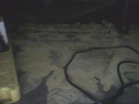 Živý XXX chat Bebita-zmp
