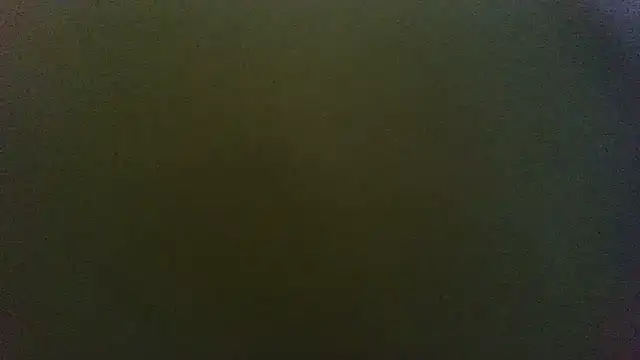 sunr1sa Live XXX-Chat