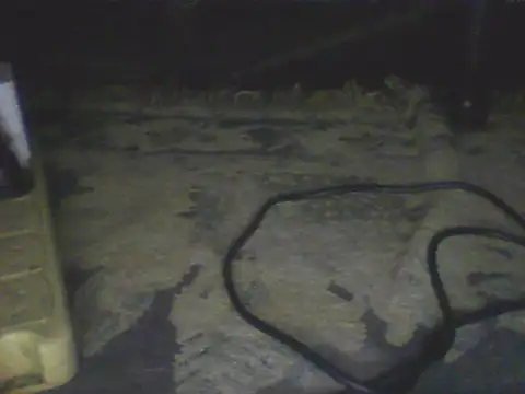 Živý XXX chat Bebita-zmp