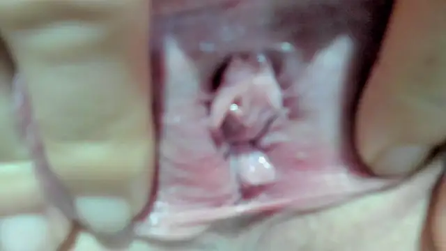 DanaaRey 라이브 XXX 채팅