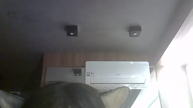 Show de webcam de SkinnyKitten