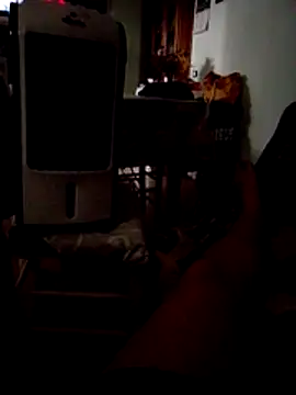 Fotto666 Webcam show