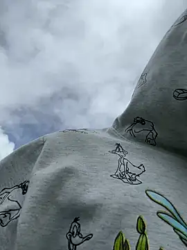 NelModel1 现场XXX聊天