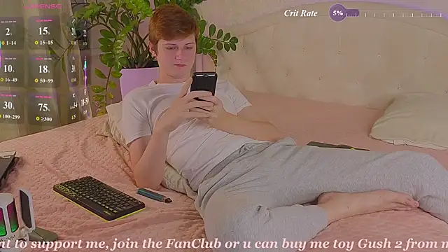 Allert_ Show Webcam