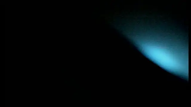 spreet117 live XXX chat