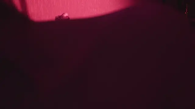Chat +18 de -Kottyaa- ao vivo