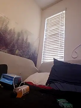 lit702 Webcam Show