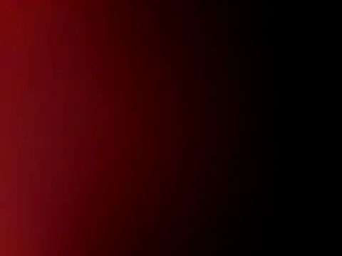Show webcam de 247Srokin