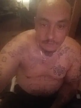 Dick4yourholes: διαδικτυακό σόου στην κάμερα