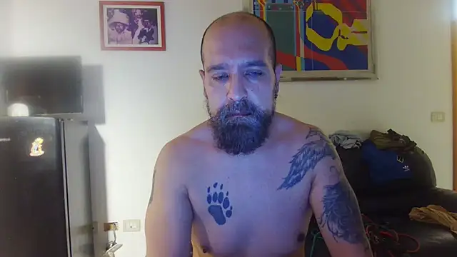 AMIRDIB2025 Chat XXX live