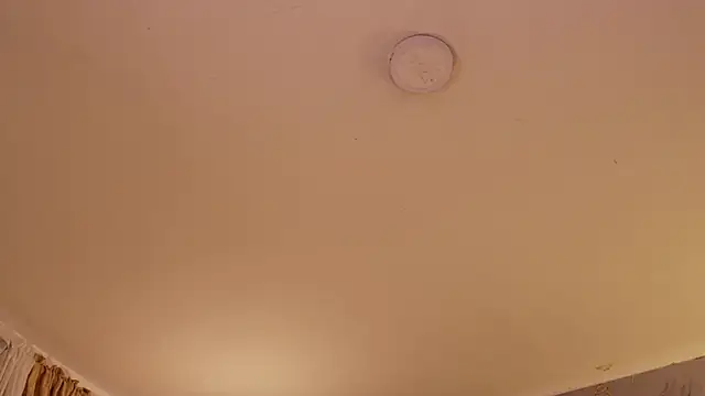 soidai_miiu 在線直播表演
