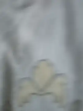 Me3l 即時 XXX 聊天