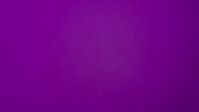 Sachi_Meow লাইভ XXX চ্যাট
