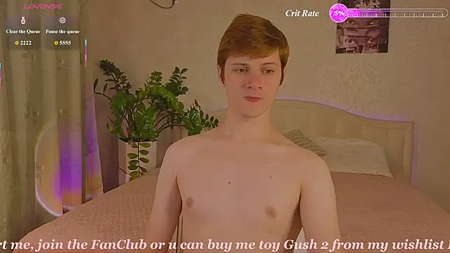 عرض كام Allert_