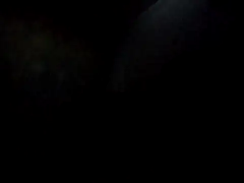 stibsas 网络视讯表演