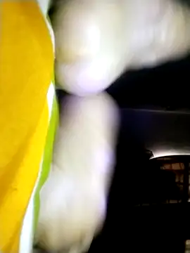 stibsas Chat XXX live