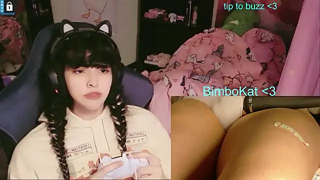 BimboCat élő XXX-chatje