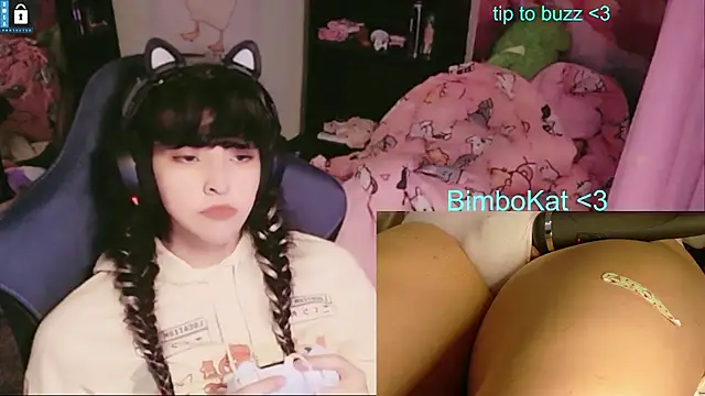 BimboCat live XXX chat