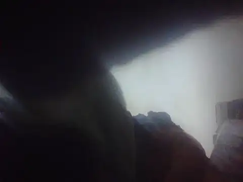 Czat XXX na żywo – De_maskedcouple