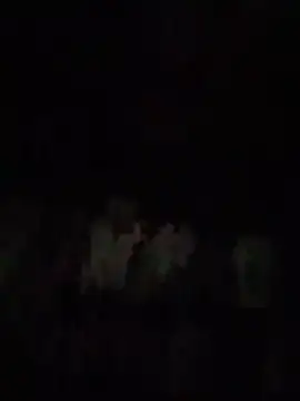 Chat +18 de S7LEALTADPERVLIMA7 ao vivo