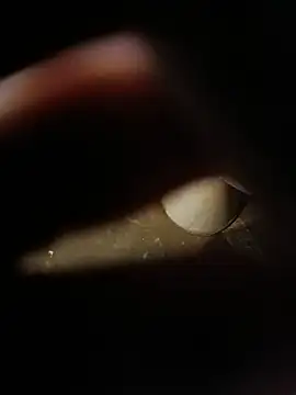 awesome-dirty-dickのウェブカメラショー