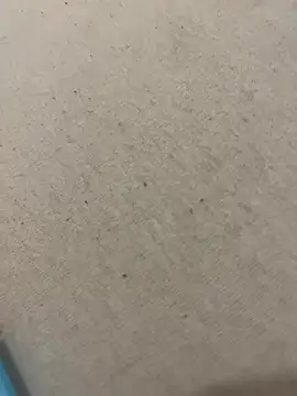 Živý XXX chat CoupleAddictif