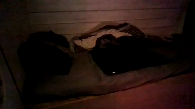 Chat +18 de ThisGuy42o ao vivo