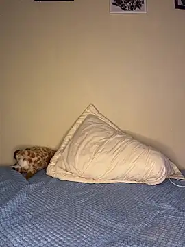 Živý XXX chat AriBunny18