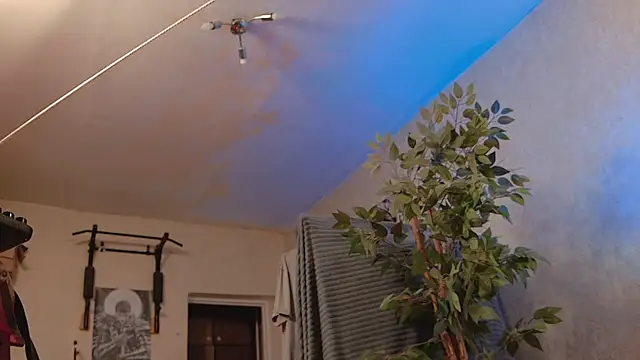bulatov_xx – Naživo XXX chat