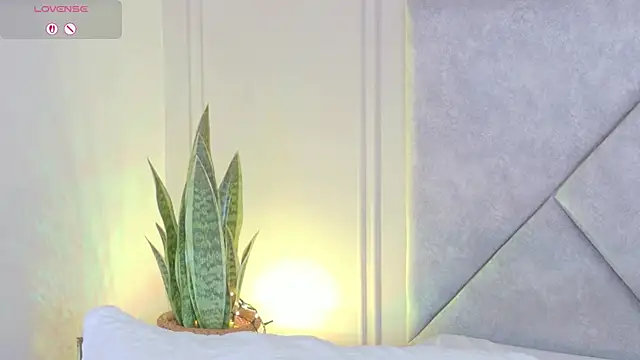 Chat +18 de MaddisonEvanss ao vivo