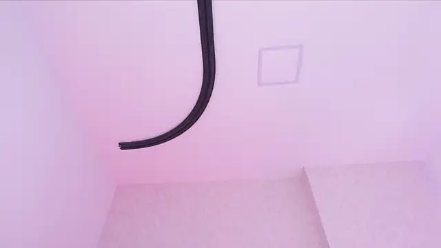 دردشة _carolina_fox الجن سية المباشرة