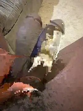 12inchforreal Live XXX Chat