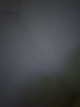 GtbaCd 라이브 XXX 채팅