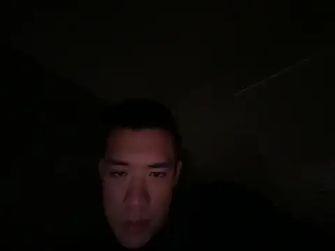 Show webcam de dlasian1998