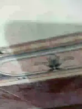 tamil_boy_anytime webcam show
